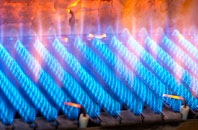 Bwlch Y Ffridd gas fired boilers